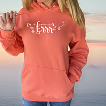 Load image into Gallery viewer, &quot;Brrr... It&#39;s Cold In Michigan&quot; Relaxed Fit Classic Hoodie
